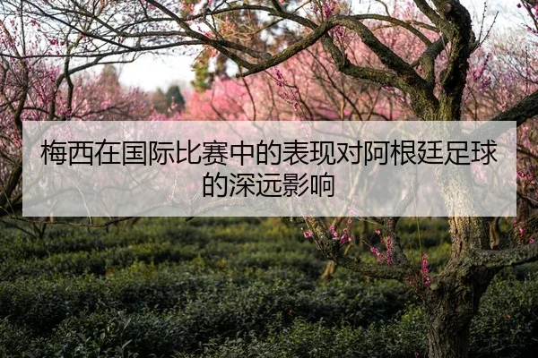 梅西在国际比赛中的表现对阿根廷足球的深远影响